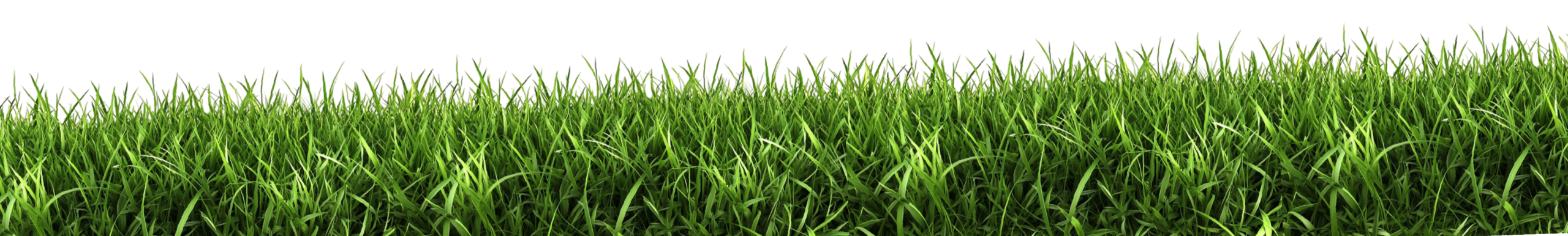 gramaSinteticaMedellin-01