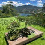 PHOTO-2025-12-18-11-11-39-19